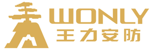 王力防盗门